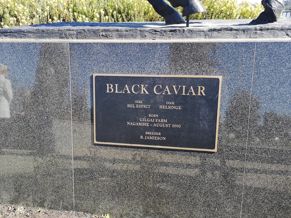 Black Caviar Statue | tourist attraction | 285A High St, Nagambie VIC 3608, Australia | 6357941471 OR +61 6357941471