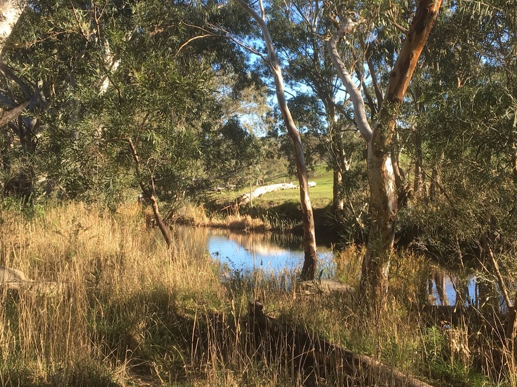 Cox Scrub Conservation Park | Bull Creek Rd, Ashbourne SA 5157, Australia