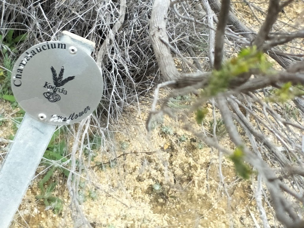 Koorda Native Flora Reserve - Campground | Lake Margarette WA 6475, Australia