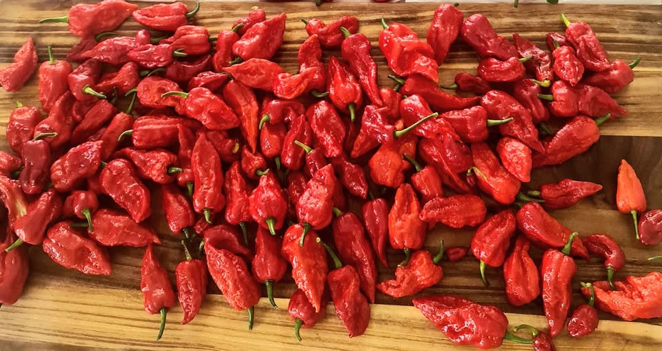 Edible Heat | 10 Solomon Dr, Lake Cathie NSW 2445, Australia | Phone: 0432 087 253