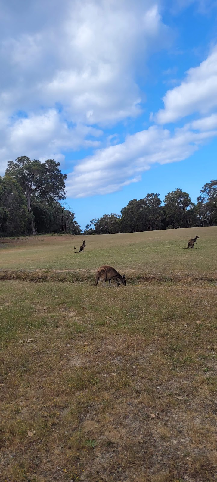 Dunsborough and Districts Country Club | 40 Gifford Rd, Dunsborough WA 6281, Australia | Phone: (08) 9755 3250