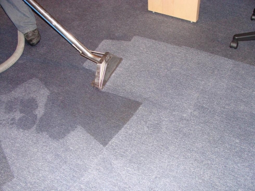 carpet cleaner newcastle | laundry | 4a Robusta St, Fletcher NSW 2287, Australia | 0417496449 OR +61 417 496 449