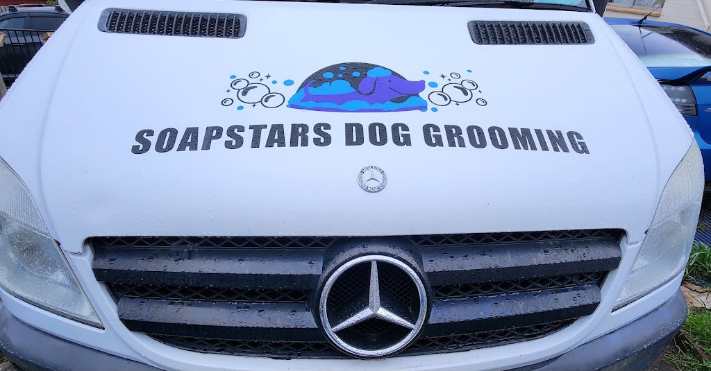 SOAPSTARS MOBILE GROOMING | 69 Lamprill Cir, Herdsmans Cove TAS 7030, Australia | Phone: 0438 155 529