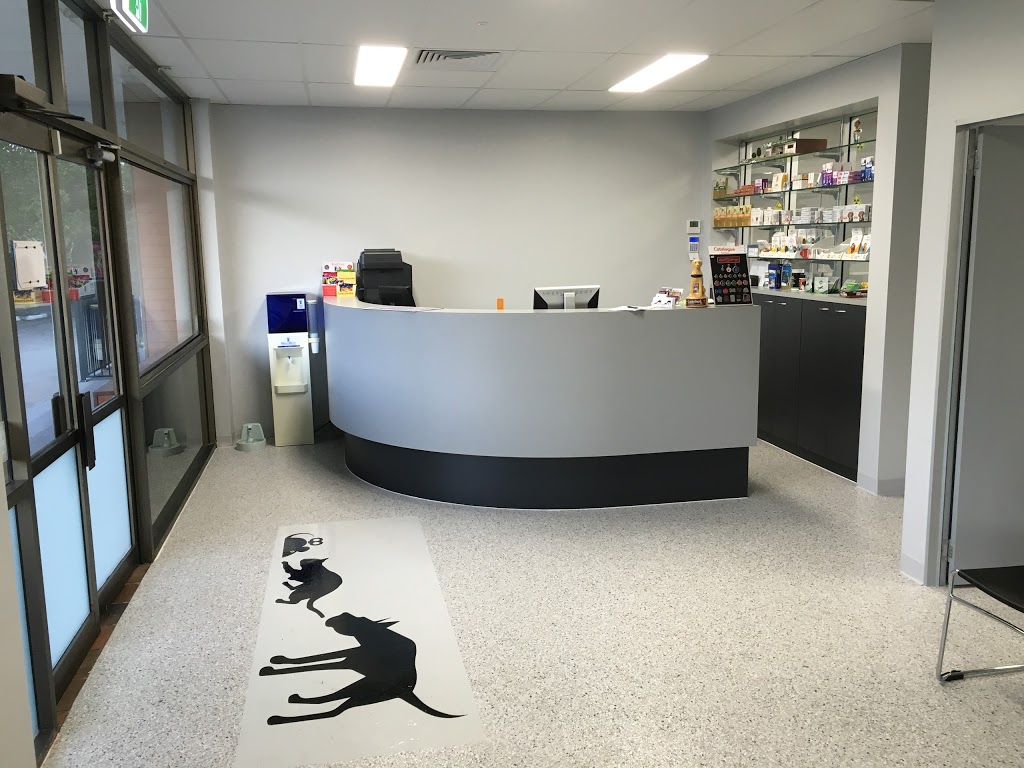 Sinnamon Park Vet and Pet | 62 Ashridge Rd, Darra QLD 4076, Australia | Phone: (07) 3376 5633