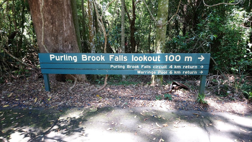 Purling Brook Falls, Springbrook National Park | park | Forestry Rd, Springbrook QLD 4213, Australia