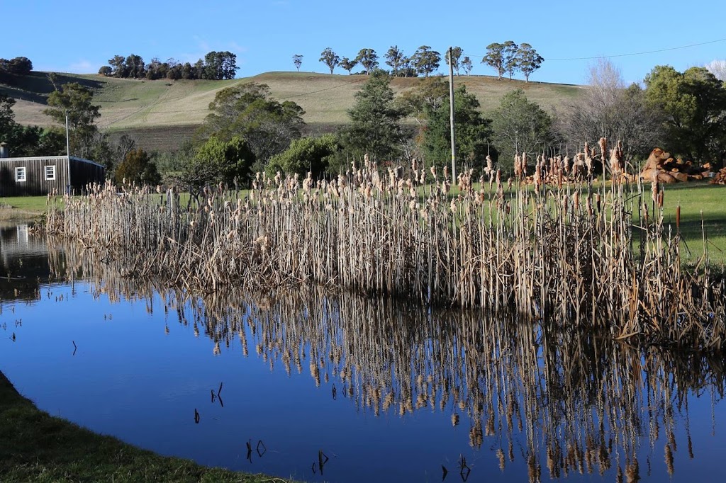 Corra Lynn Historic Fish Ponds | St Leonards TAS 7250, Australia