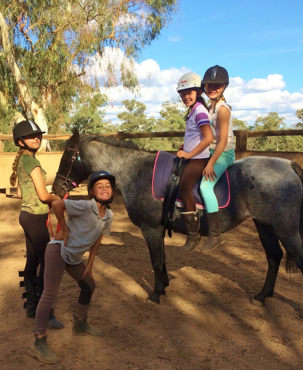 Tic Toc Equestrian | travel agency | 144A Hibberts Ln, Freemans Reach NSW 2756, Australia | 0437300059 OR +61 437 300 059