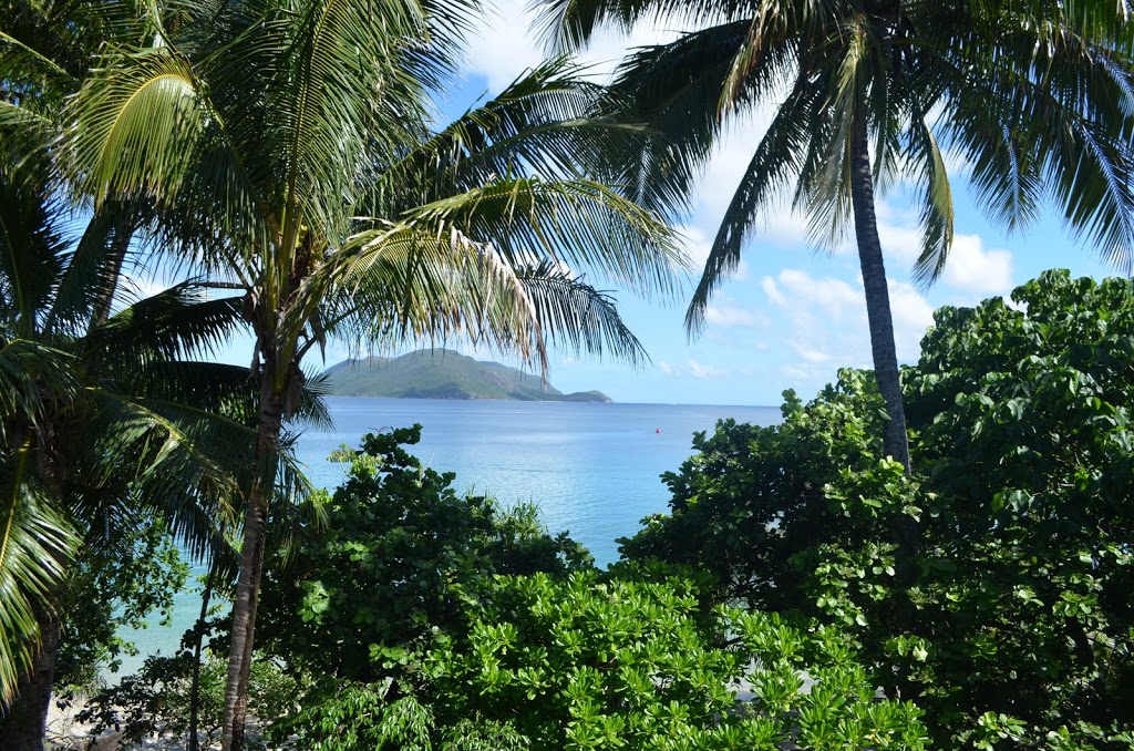 Fitzroy Island Cairns.com | travel agency | 101/27-29 Wharf St, Cairns City QLD 4870, Australia | 0740402100 OR +61 7 4040 2100