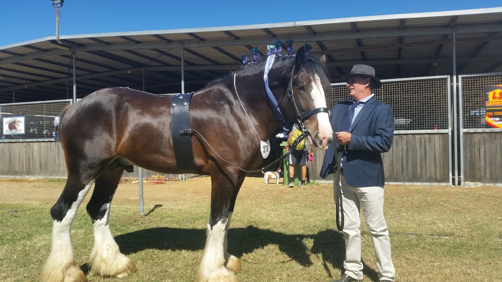 Indoor Equestrian Centre | Gatton QLD 4343, Australia | Phone: 0428 621 744