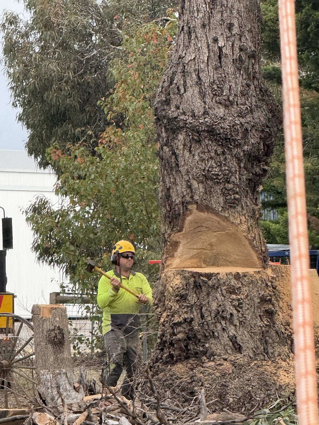 Carrick Trees & Contracting | 570 Stewart’s Rd, Tatura VIC 3616, Australia | Phone: 0457 283 085