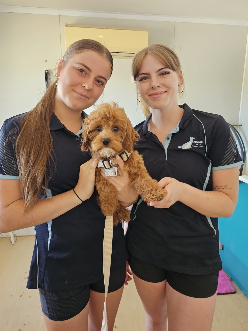 Pampered Pets Grooming Service | 240 Boulder Rd, South Kalgoorlie WA 6430, Australia | Phone: (08) 6010 0801