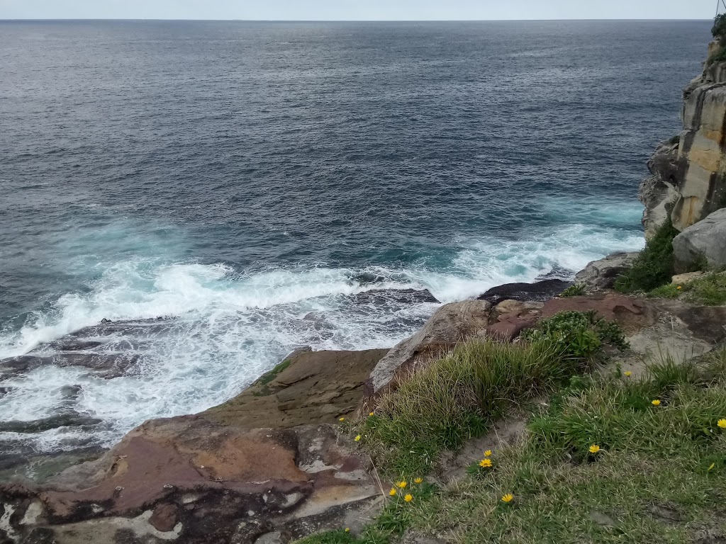 Shark Island Reserve | New South Wales, Australia