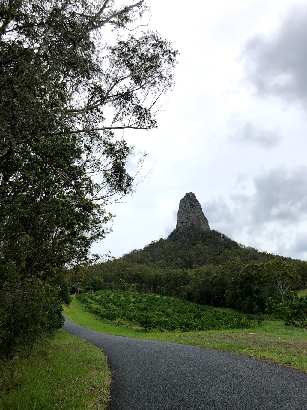 CrookNeck farmstay | lodging | 2199 Old Gympie Rd, Glass House Mountains QLD 4518, Australia