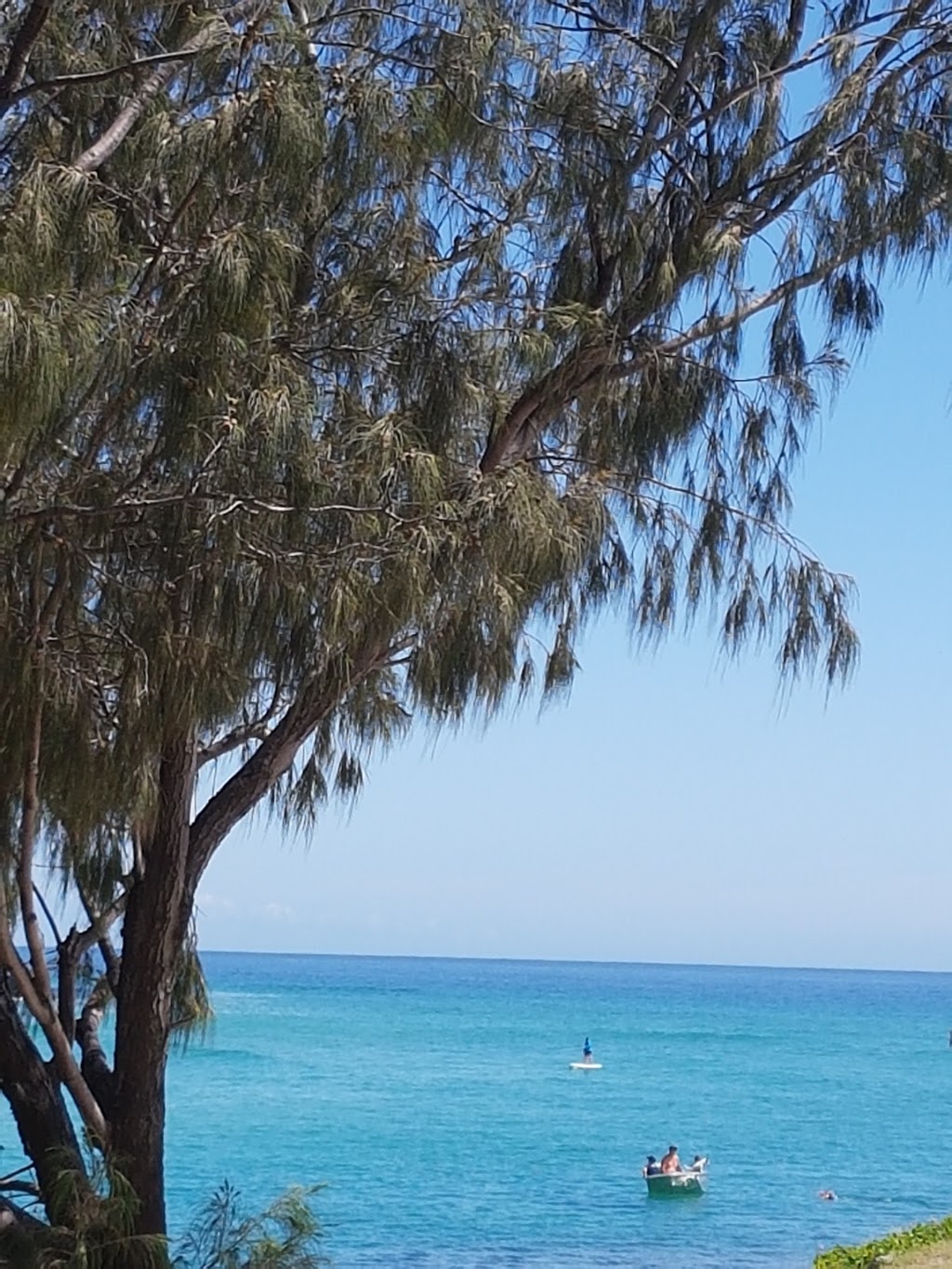 Tallebudgera Offleash Dog Beach - No Fence | park | 1511 Gold Coast Hwy, Palm Beach QLD 4221, Australia | 0755828211 OR +61 7 5582 8211