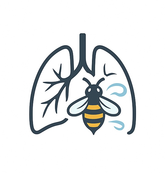 Secret Breath Studio - Apitherapy Tasmania | Mary St, Lewisham TAS 7173, Australia | Phone: 0400 973 589 Secret Breath Studio - Apitherapy Tasmania | Mary St, Lewisham TAS 7173, Australia | Phone: 0400 973 589