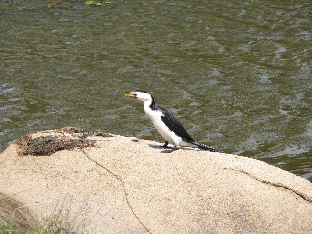 Gleeson Park | park | Stanthorpe QLD 4380, Australia