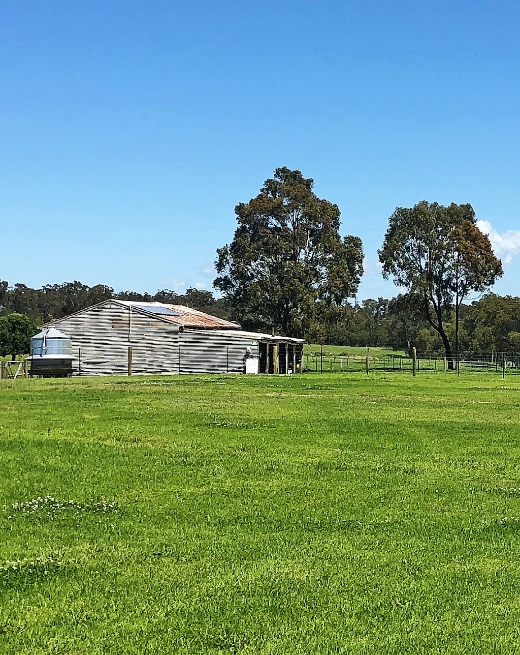 Wy Yung Acres | 30 Clifton W Rd, Wy Yung VIC 3875, Australia | Phone: 0439 998 648 Wy Yung Acres | 30 Clifton W Rd, Wy Yung VIC 3875, Australia | Phone: 0439 998 648