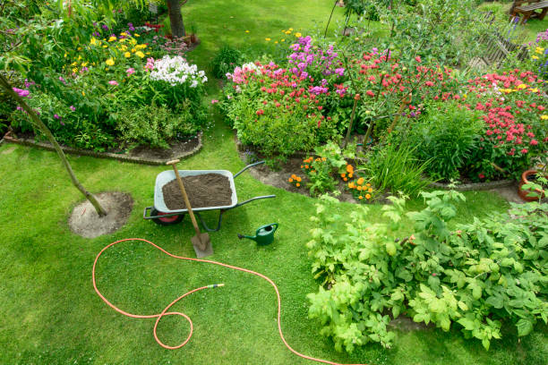 Gringo Yard And Garden Maintenance | 73 Janet St, North Lambton NSW 2299, Australia | Phone: 0468 688 967