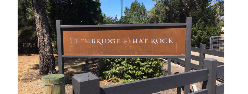 Lethbridge @ Hat Rock Vineyard | 2330 Portarlington Rd, Bellarine VIC 3221, Australia | Phone: 0490 344 635