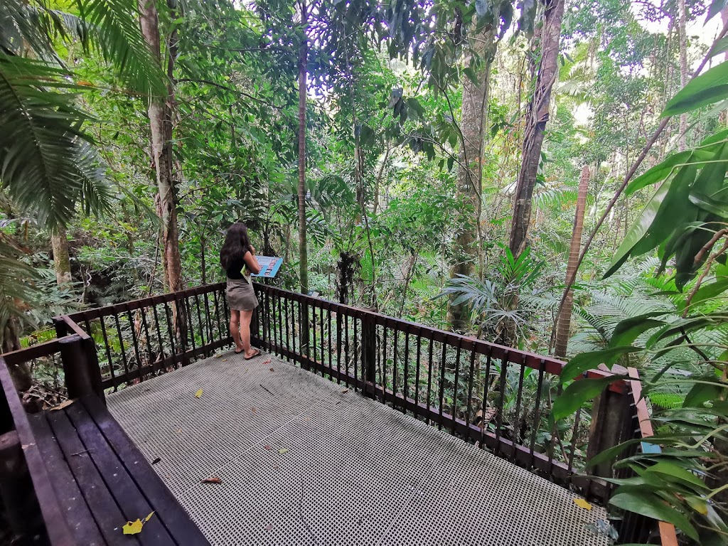 Daintree Discovery Centre | tourist attraction | Tulip Oak Road, Turn off, Cape Tribulation Rd, Cow Bay QLD 4873, Australia | 0740989171 OR +61 7 4098 9171