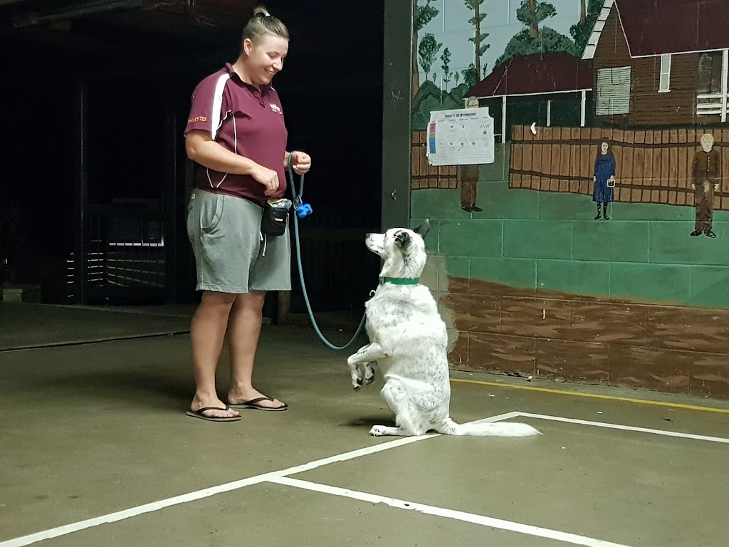 Unleashed Dog Behavioural Training | 21 Minura Ct, Doonan QLD 4562, Australia | Phone: 0437 311 715