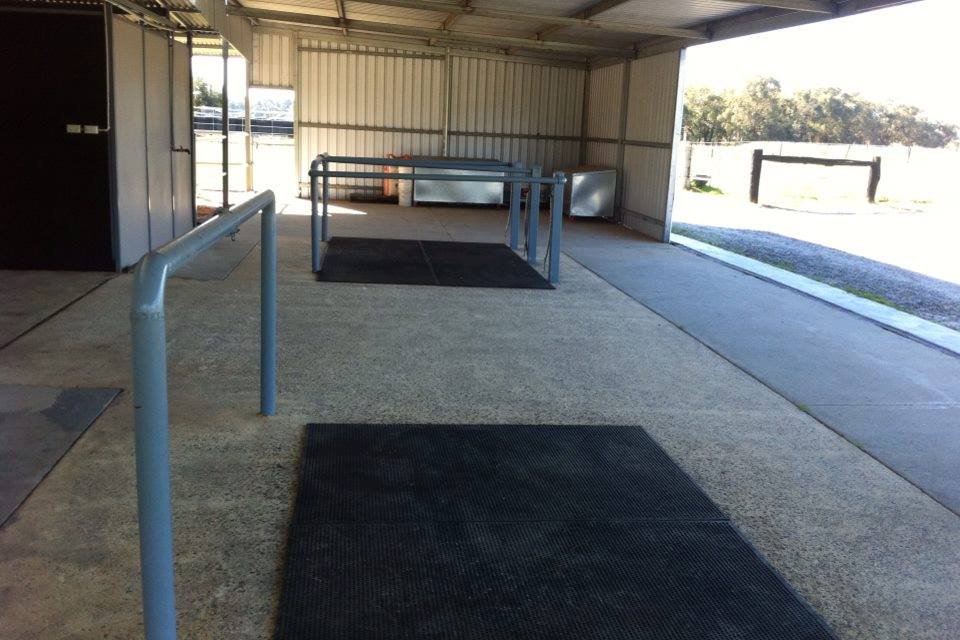 Thistle Park Equestrian | 392 Henderson Rd, Hopeland WA 6125, Australia | Phone: 0432 828 150