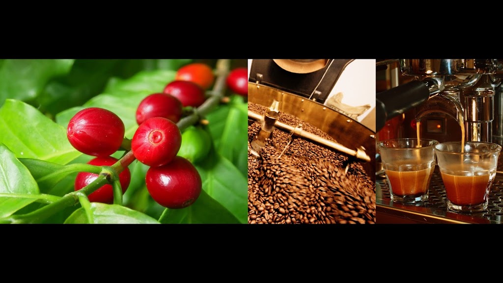 Origin Specialty Coffee | 1 Patern St, Highton VIC 3216, Australia | Phone: (03) 5243 2792
