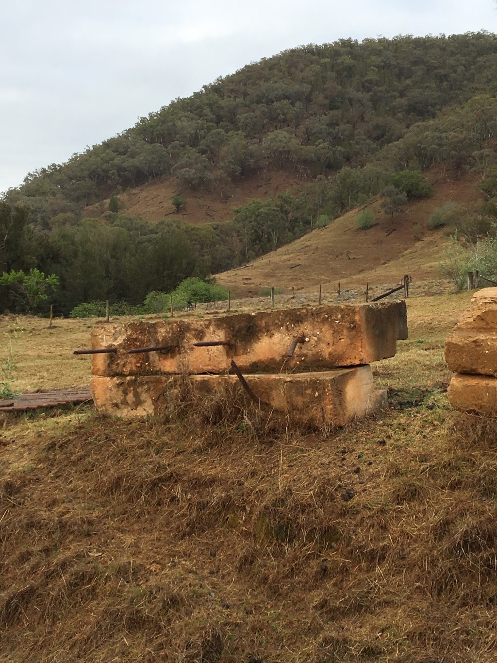 Capertee National Park | park | Capertee NSW 2846, Australia