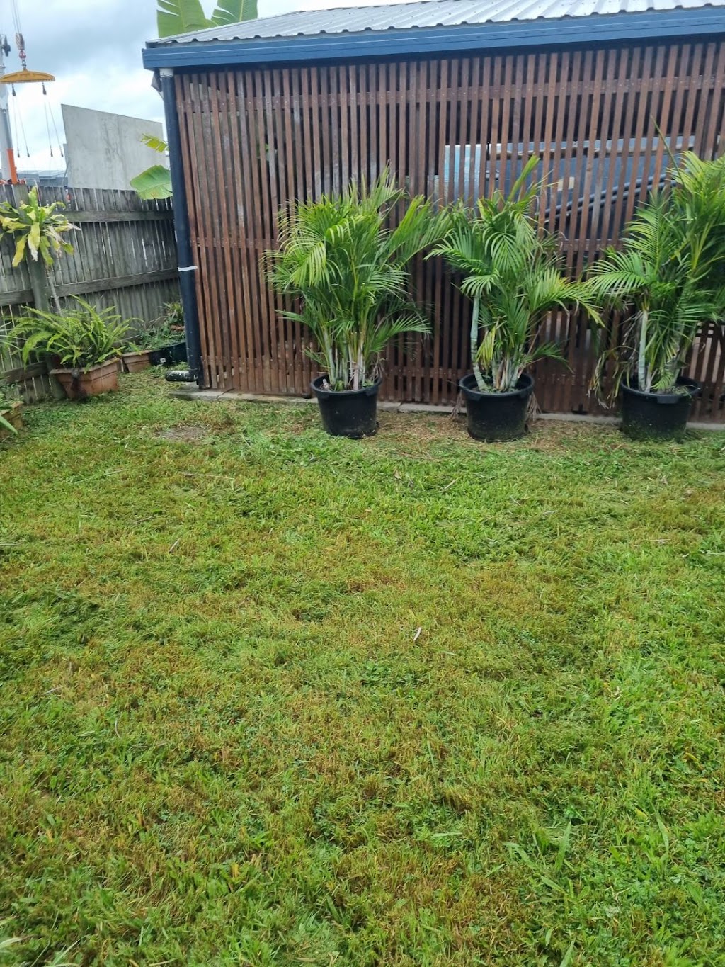 Smick Yards | 25 Peak Downs Hwy, Ooralea QLD 4740, Australia | Phone: 0498 187 435