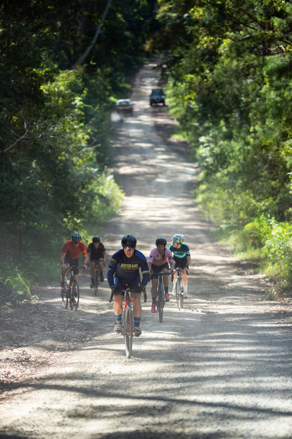 TYM Cycling Tours | 1/112 Beck St, Paddington QLD 4064, Australia | Phone: 0403 139 482