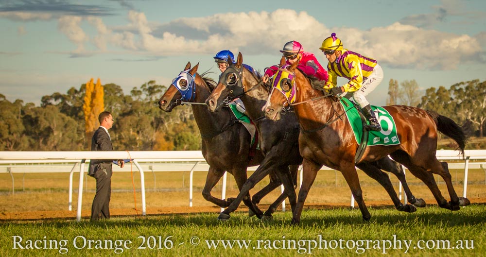 Racing Orange - Towac Park Racecourse | 57 Canobolas Rd, Orange NSW 2800, Australia | Phone: 0417 063 758