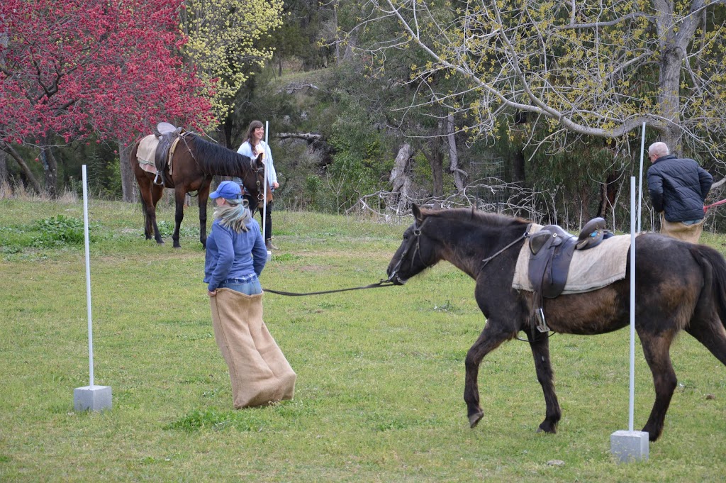 Leconfield Jackaroo & Jillaroo School | school | 1489 Echo Hills Rd, Mulla Creek NSW 2352, Australia | 0267694230 OR +61 2 6769 4230