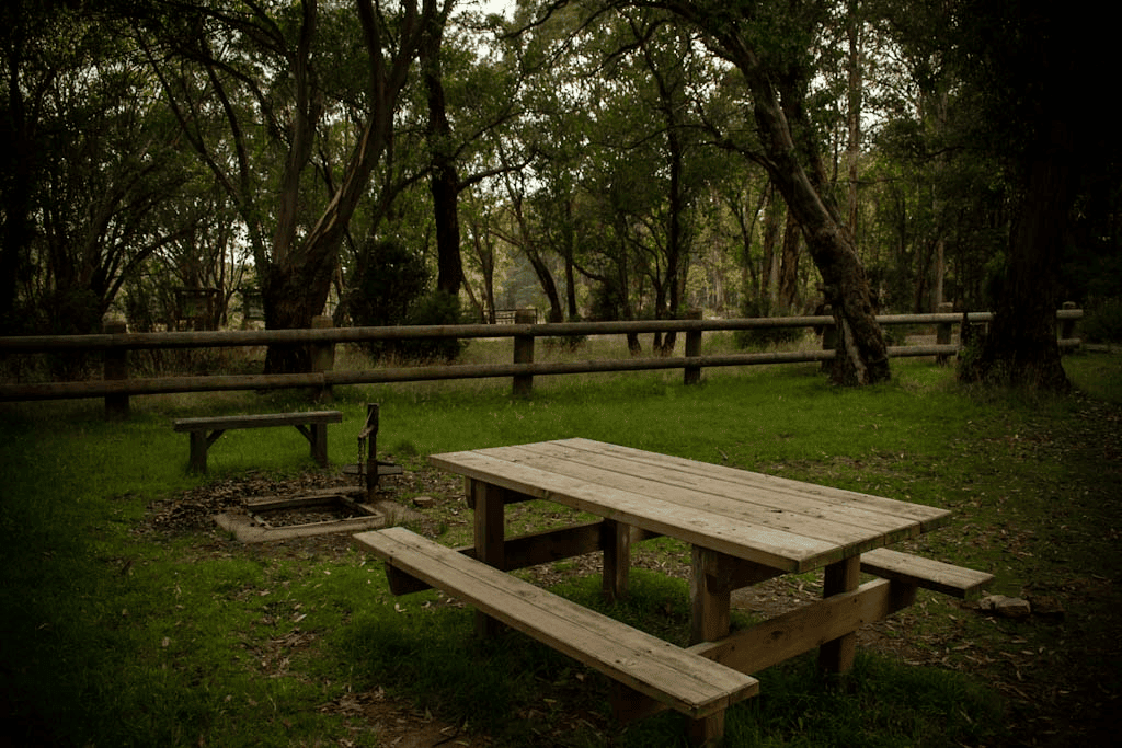 Free Rein Adventure | 310 Quarry Rd, Yallourn North VIC 3825, Australia | Phone: (03) 4137 8312
