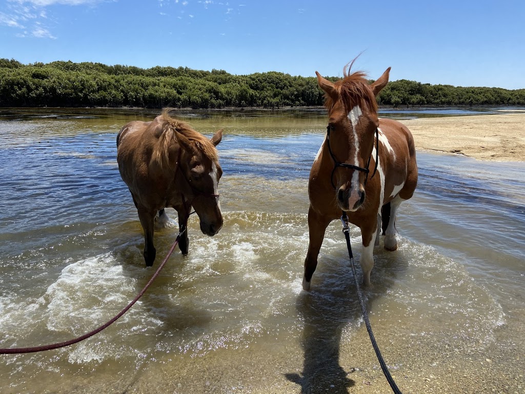 Shellgrit Stables Natural Horsemanship & Agistment |  | 222 Shellgrit Rd, Middle Beach SA 5501, Australia | 0414168835 OR +61 414 168 835