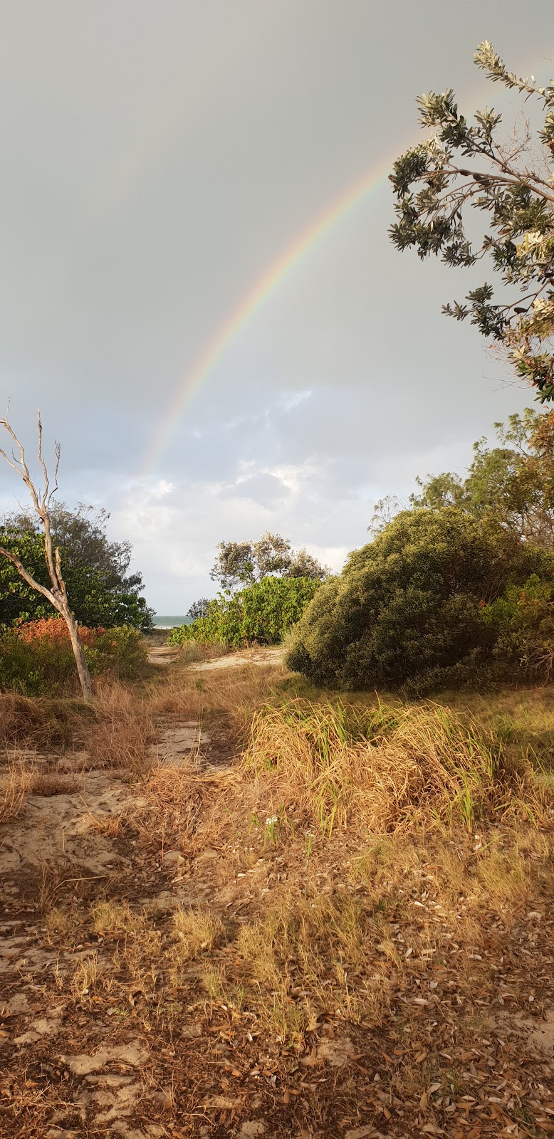 Tallebudgera Creek Park | park | Gold Coast Hwy, Palm Beach QLD 4221, Australia