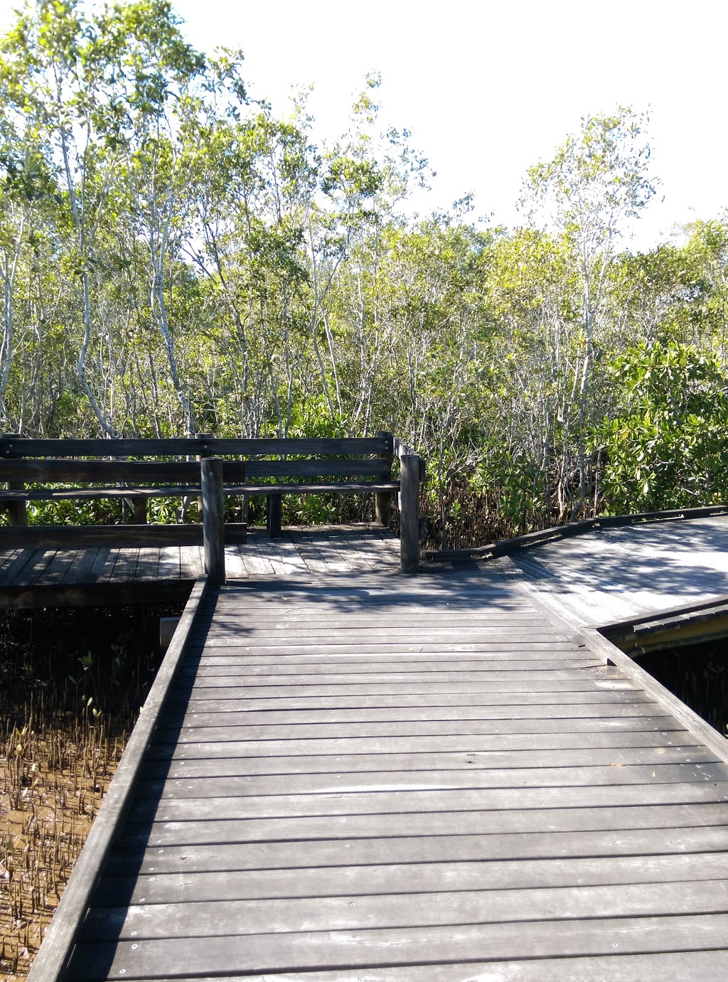 Maroochy Wetland Sanctuary | park | Sports Rd, Bli Bli QLD 4560, Australia | 0754486723 OR +61 7 5448 6723