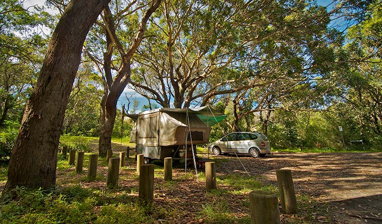 Yagon campground | campground | Yagon Road, Yagon NSW 2423, Australia | 0265910300 OR +61 2 6591 0300