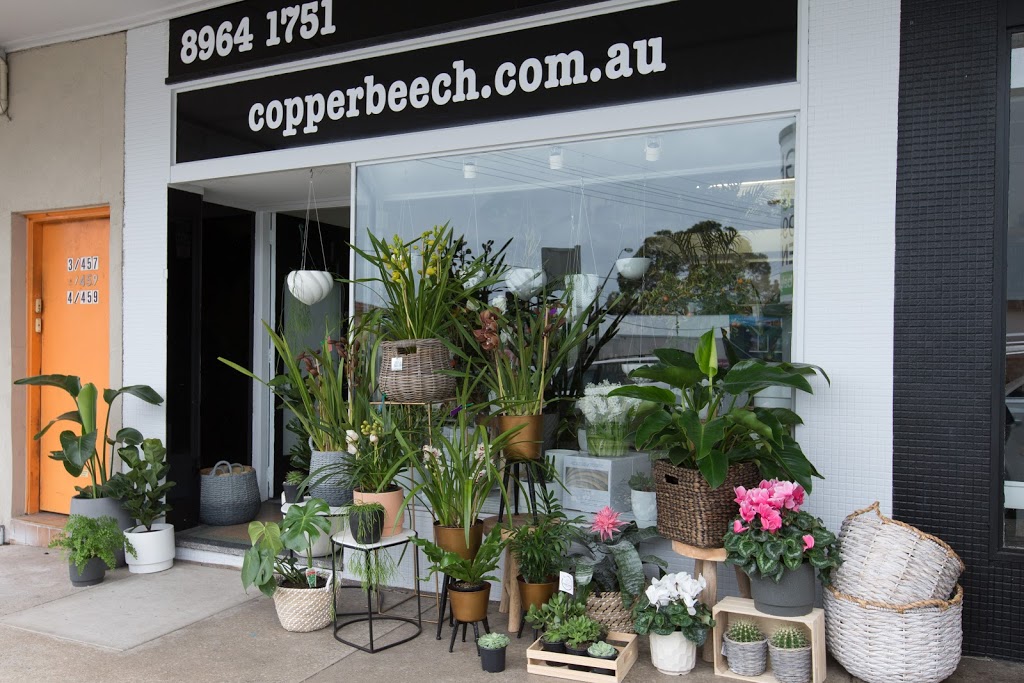 Copper Beech, The Flower Merchant | florist | 70 Wanganella St, Balgowlah NSW 2093, Australia | 0289641751 OR +61 2 8964 1751