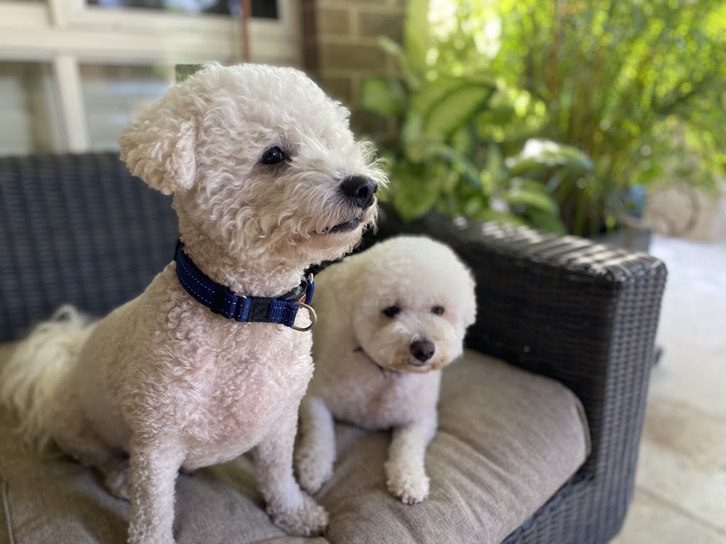 Oodles Of Fun Dog Boarding and Day Care | Mount Hutton NSW 2290, Australia | Phone: 0407 142 123