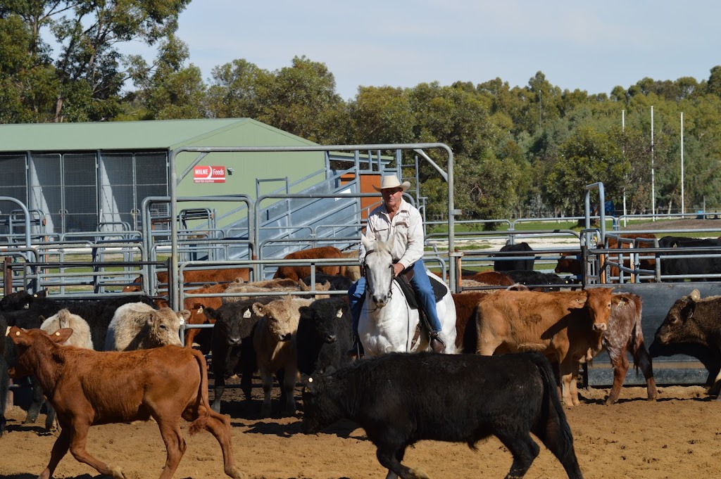 Murray Regional Equestrian Centre |  | Murray St, Coolup WA 6214, Australia | 0895317777 OR +61 8 9531 7777