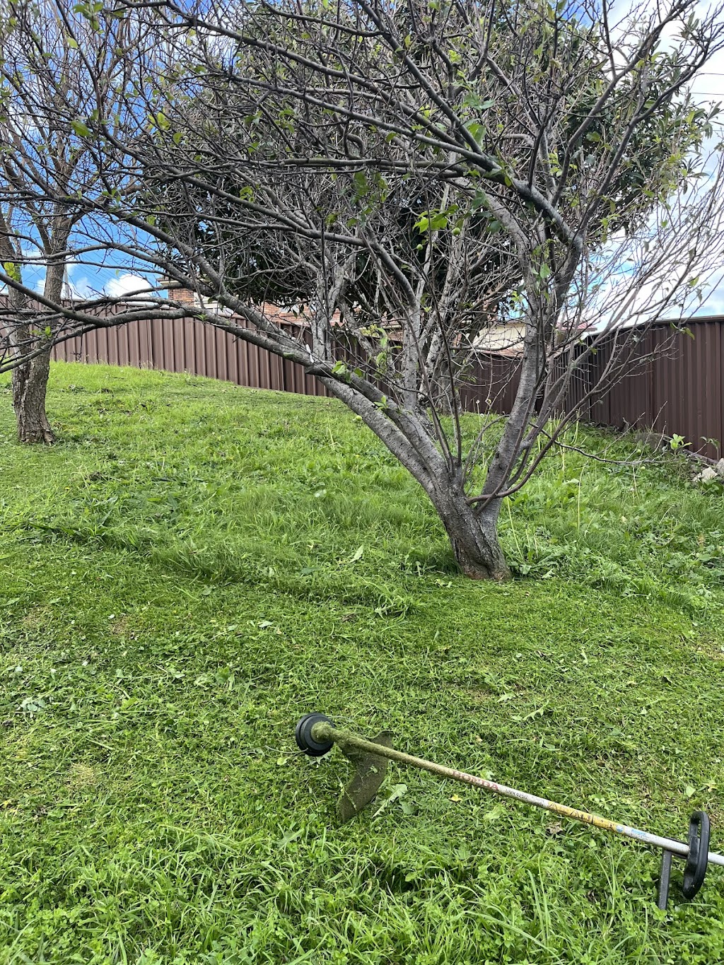 Curt’s Landscaping and Maintenance | Kruger Ave, Windang NSW 2528, Australia | Phone: 0423 350 164