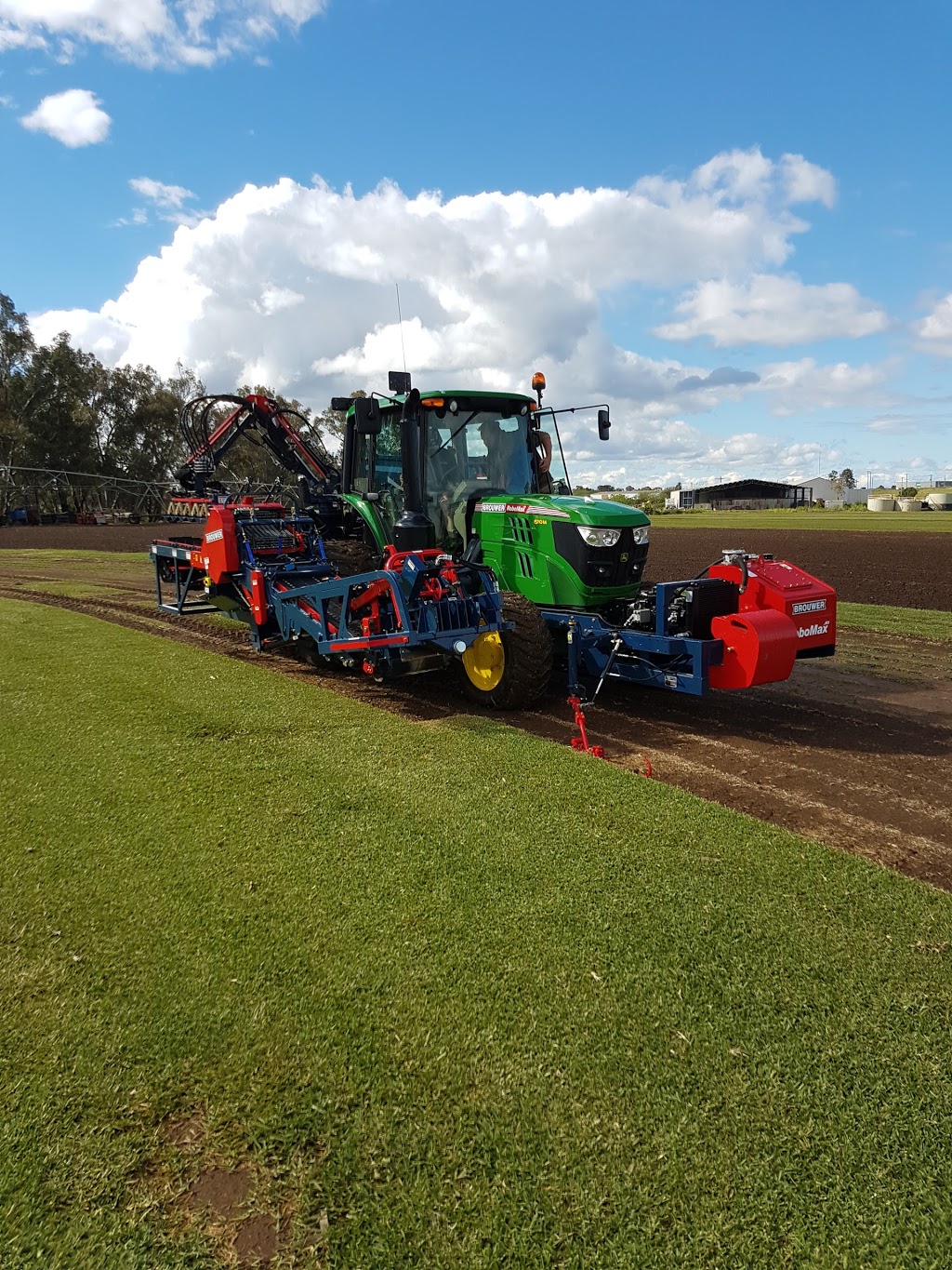 Turf The Lot | Newell Hwy, Dubbo NSW 2830, Australia | Phone: 1300 468 873