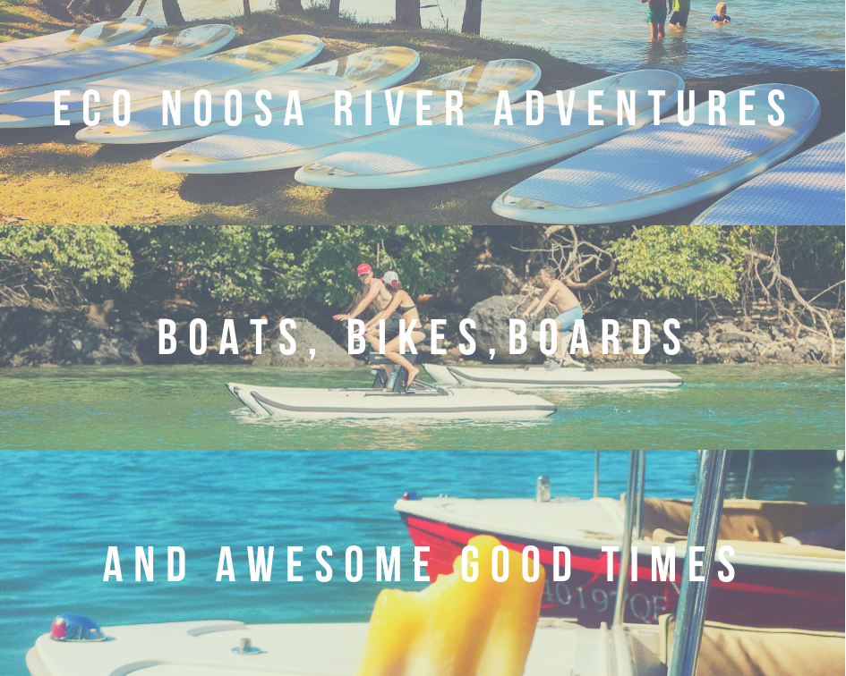 Eco Noosa River Adventures | 172 Gympie Terrace, Noosaville QLD 4566, Australia | Phone: (07) 5474 4240