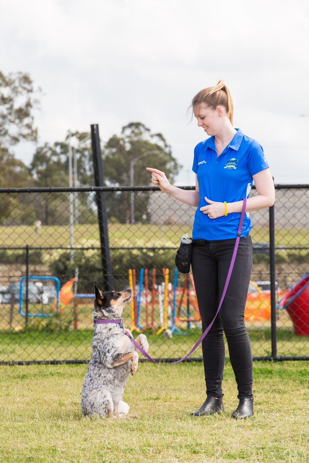 RSPCA School for Dogs - Wacol | 139 Wacol Station Rd, Wacol QLD 4076, Australia | Phone: 1300 790 224