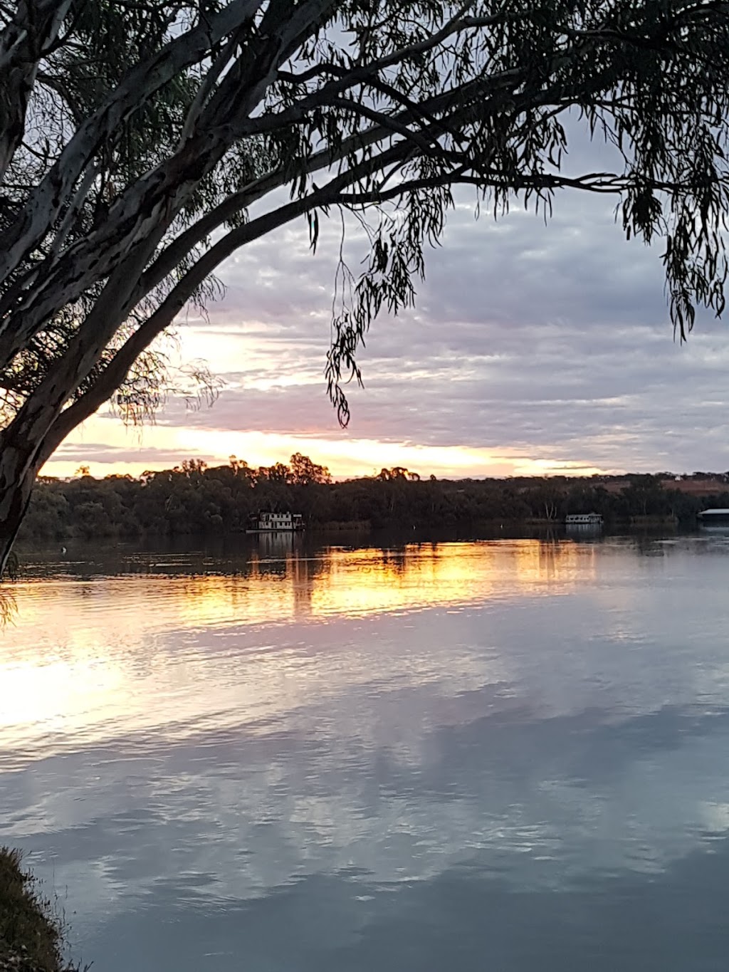 SS Ellen Park | park | Lyrup SA 5343, Australia