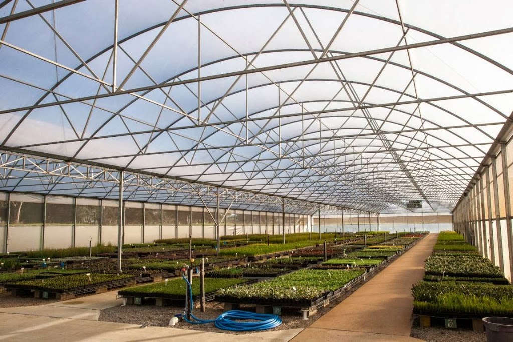 Mansfield Propagation Nursery | 150 Taylors Rd, Skye VIC 3977, Australia | Phone: (03) 9782 2404