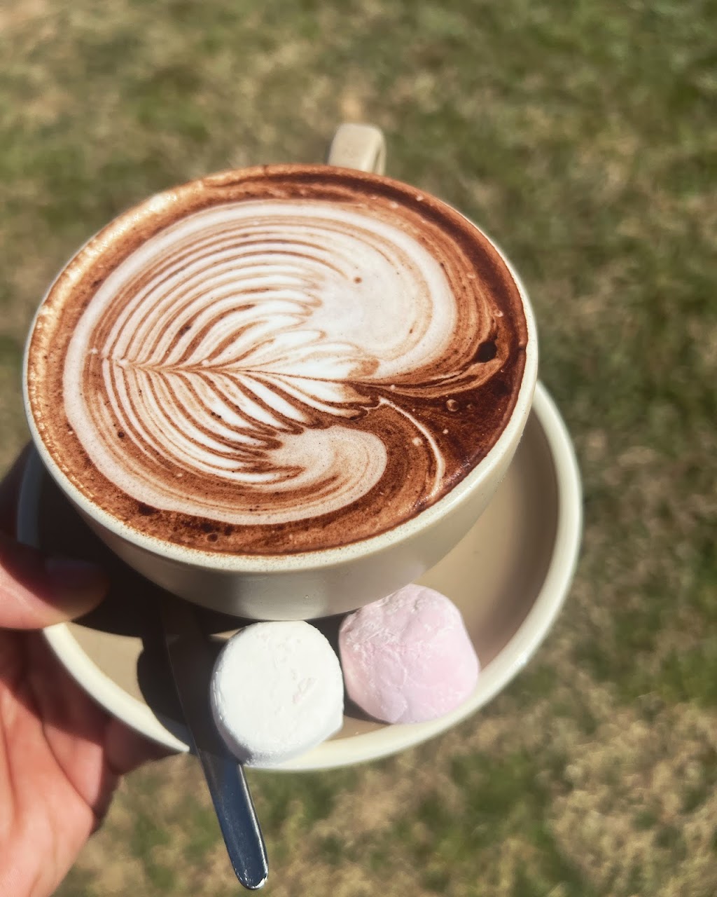 Cafe Eden | 279 Diggings Rd, Eungella QLD 4757, Australia | Phone: 0431 346 344