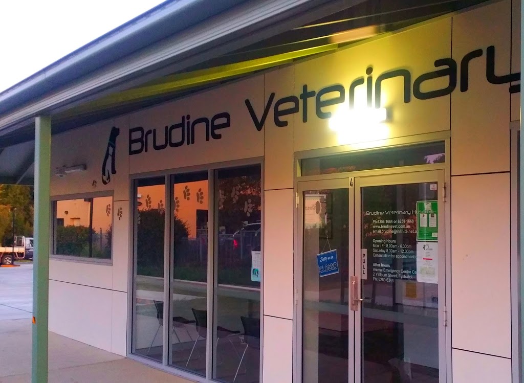 Brudine Veterinary Hospital | Unit 4/5 6 Charnwood Place,, Charnwood ACT 2615, Australia | Phone: (02) 6258 1664