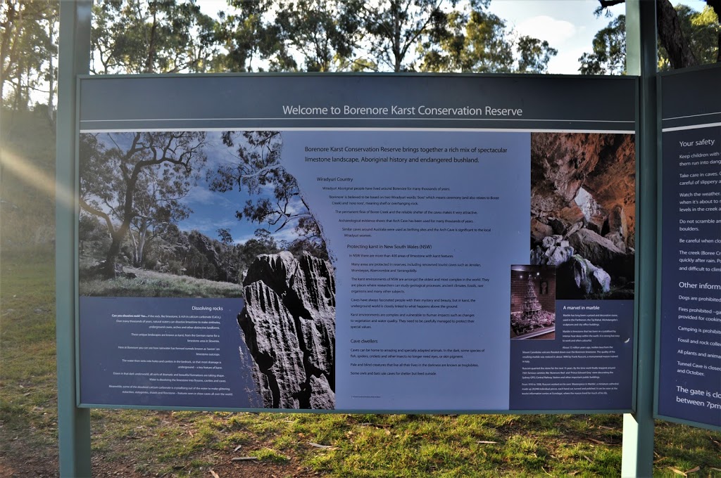 Borenore Karst Conservation Reserve (Borenore Caves) | campground | Borenore NSW 2800, Australia