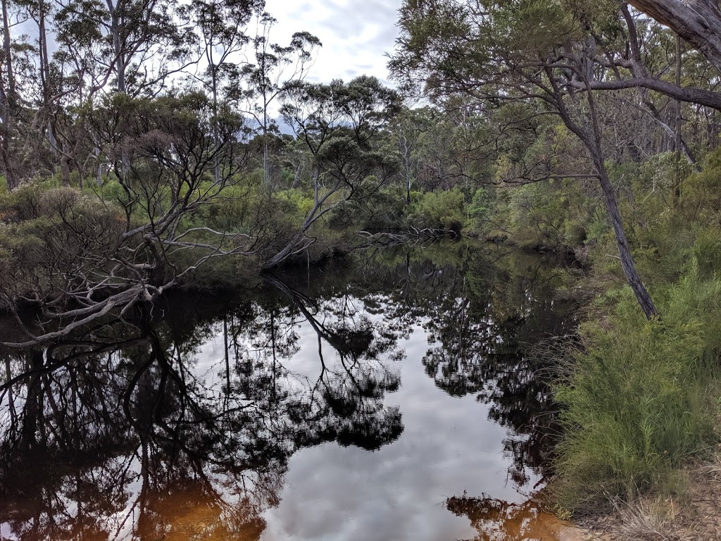 Mount Frankland South National Park | park | North Walpole WA 6398, Australia